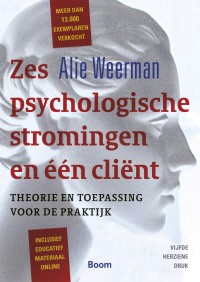 Zes psychologische stromingen en één cliënt