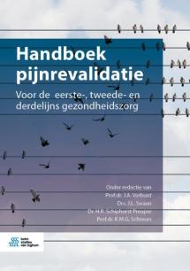 Handboek pijnrevalidatie