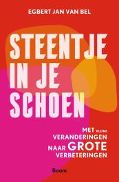 Steentje in je schoen 9789024450817