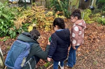 Luisterfragment: Taal in de natuur bij Vroege Vogels 